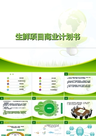 生鲜商城平台商业计划书
