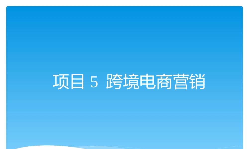 项目5-跨境电商营销