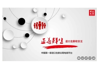 正善鲜生商业计划书：中国第一家进口生鲜众筹电商平台