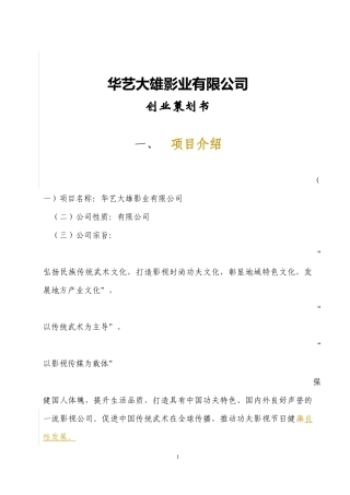 专业影视广告公司策划书