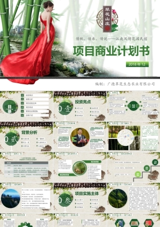 “翠花山庄”民宿项目可行性研究报告暨商业计划书