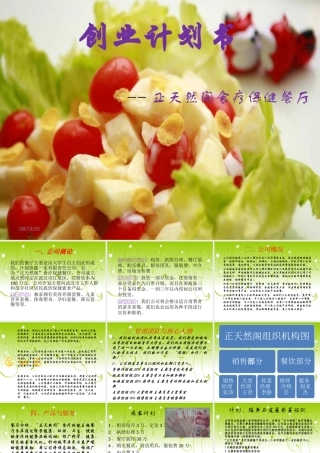 正天然阁食疗保健餐厅创业计划书