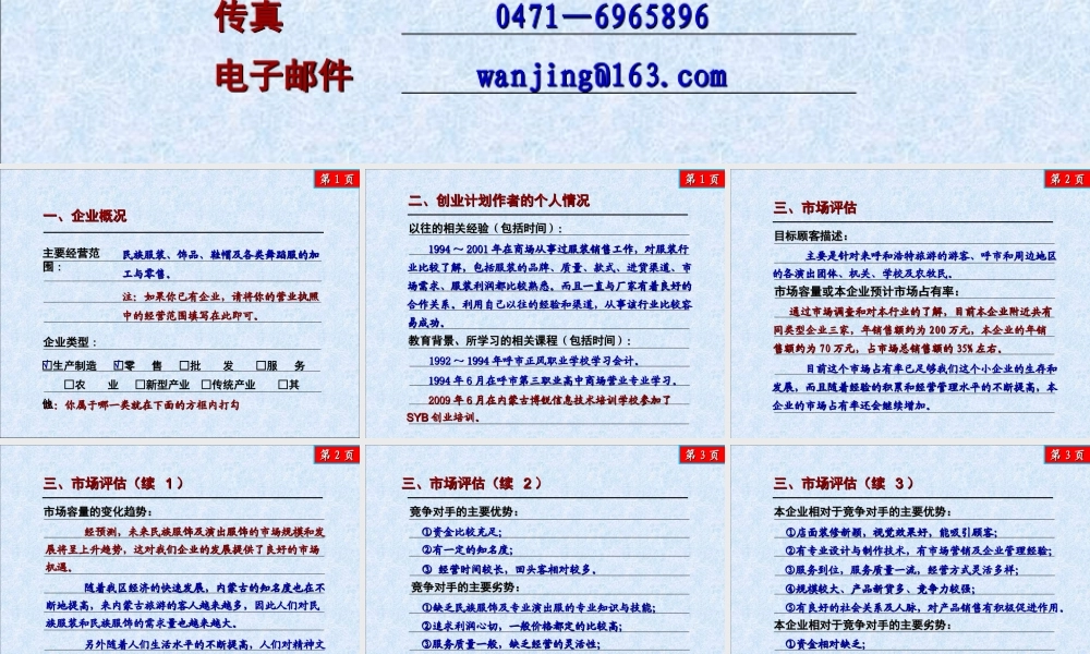 SYB创业计划书案例