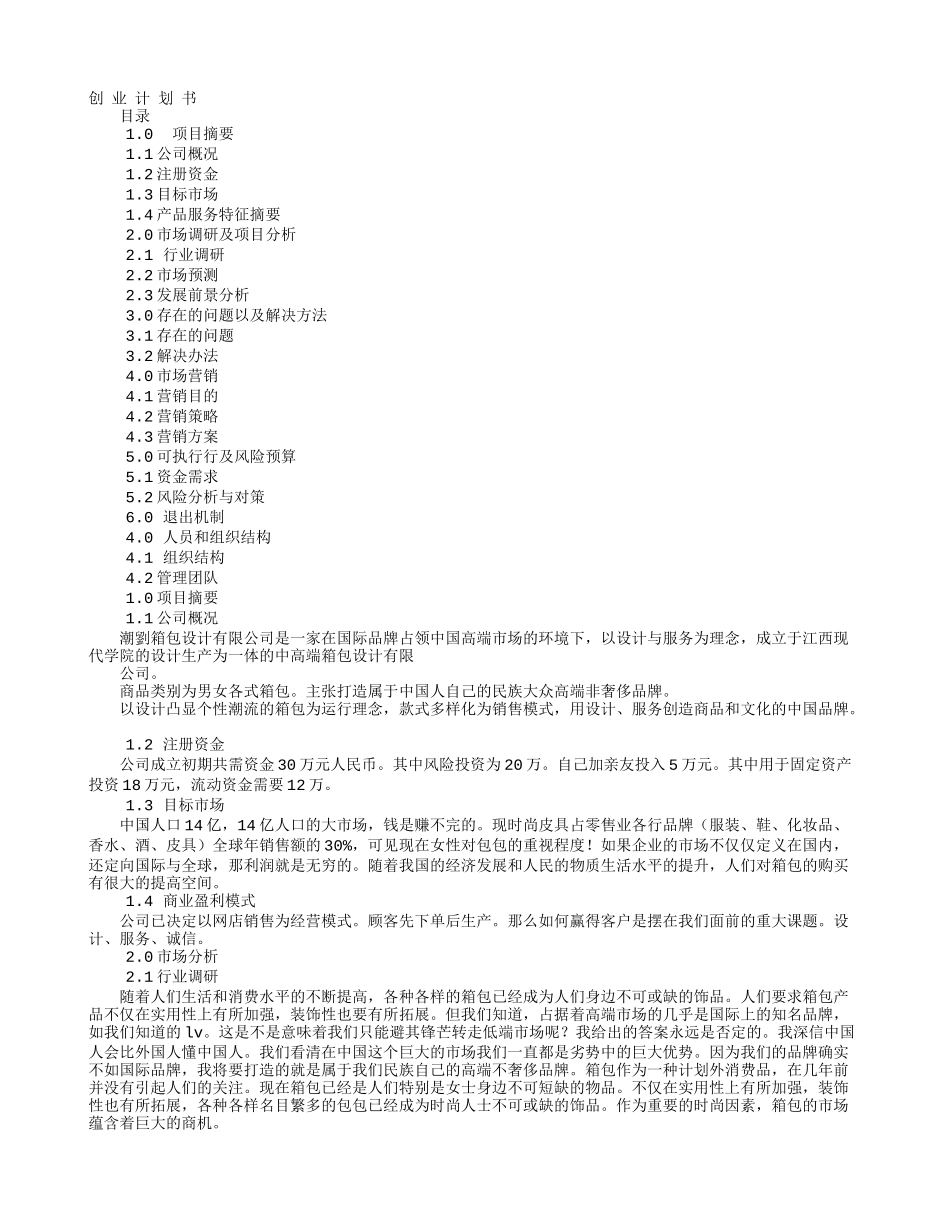 包包创业计划书_第1页