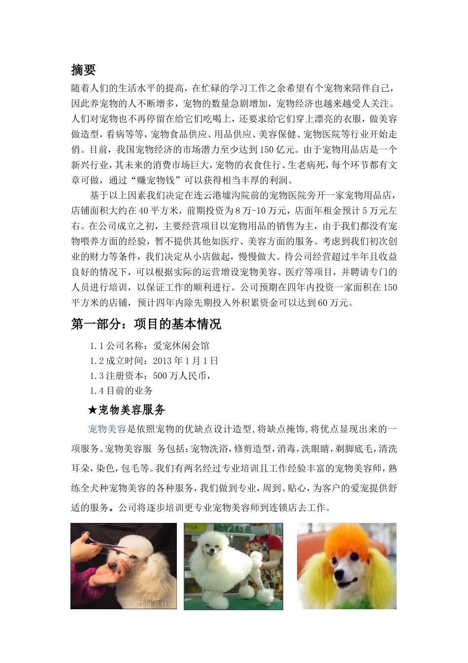 宠物店商业计划书---正式_第1页