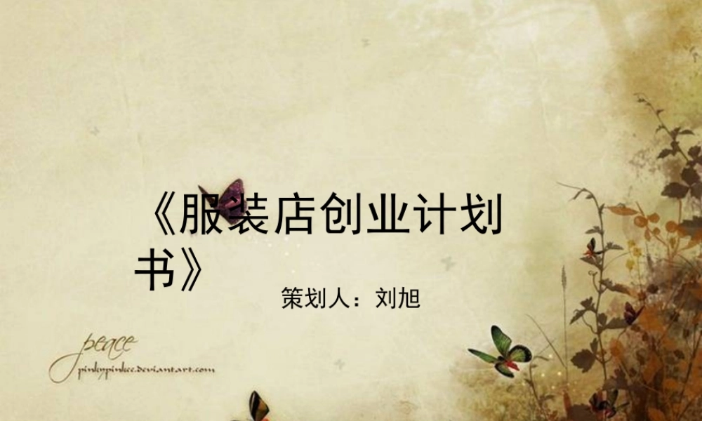 服装店创业计划书PPT(共-30张)