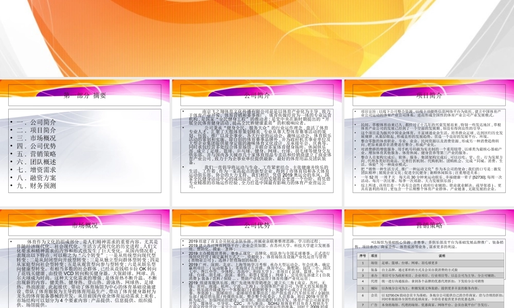 中国飞之翔体育产业商业计划书