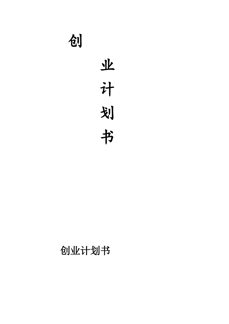 一连服装公司创业计划书_第1页