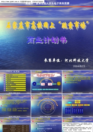 038_石家庄市网上“跳蚤市场”商业计划书(ppt40)