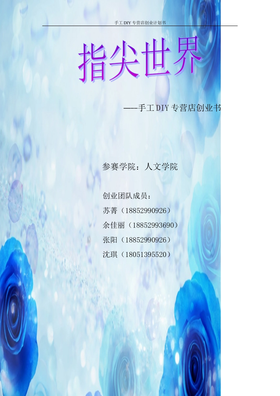 DIY小店-创业计划书_第1页