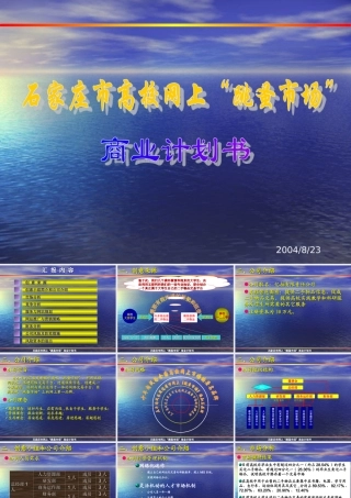 石家庄市网上“跳蚤市场”商业计划书