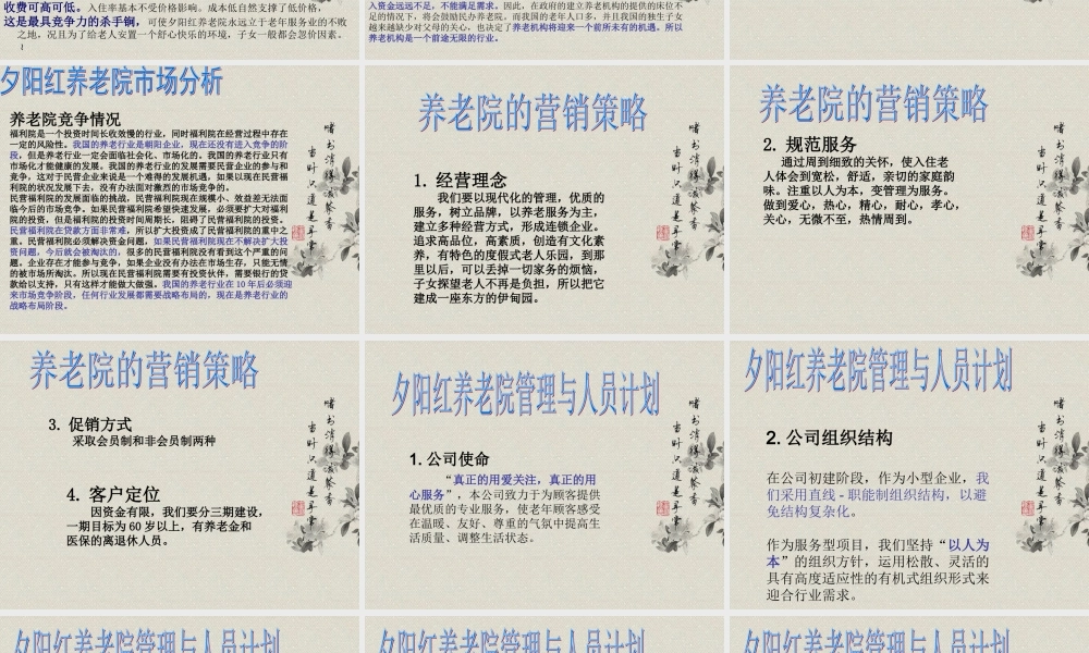夕阳红养老院商业计划书