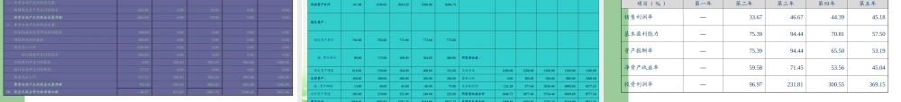 创业计划书肇庆创辉环保科技有限公司模板