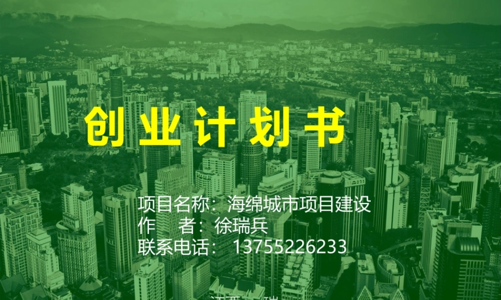 海绵城市项目创业计划书