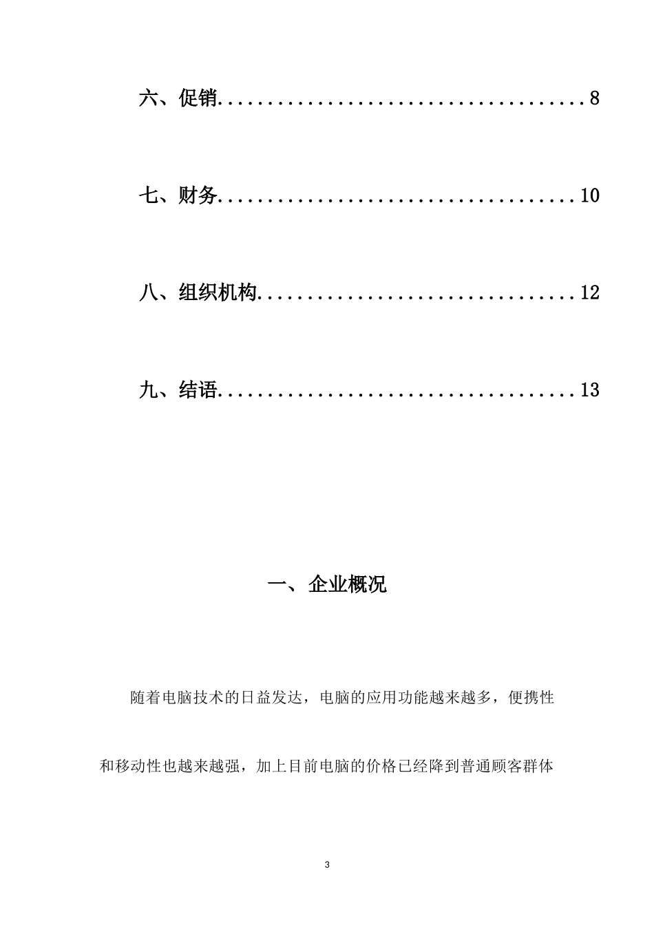 大学生创业计划书-电脑维护公司_第3页