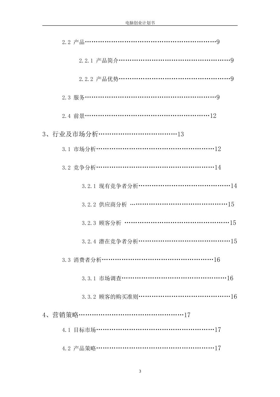 电脑公司创业计划书_第3页