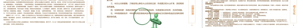 大米姐品牌营销策划案