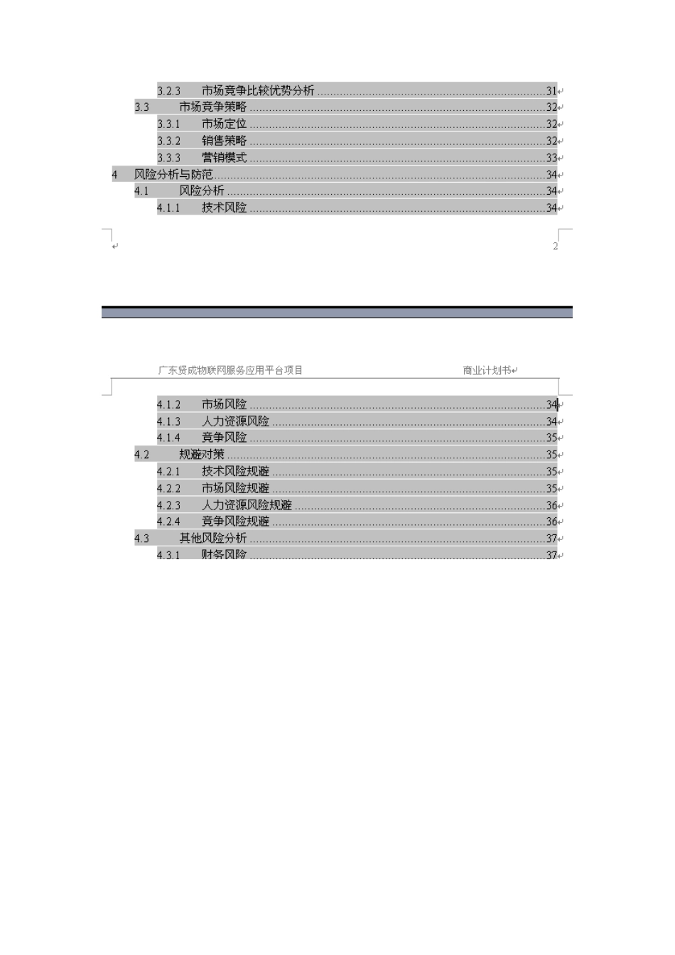 物联网项目商业计划书案例_第3页