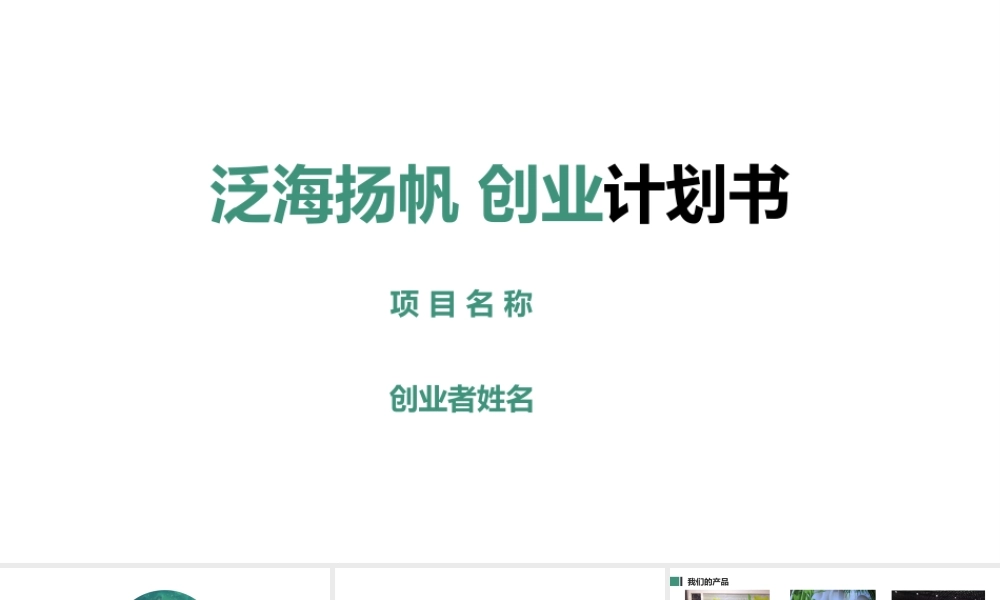 syb创业计划书