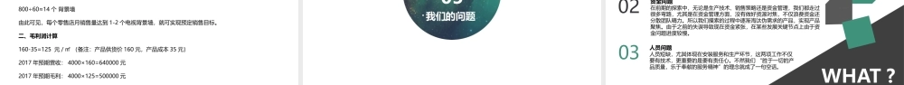 syb创业计划书