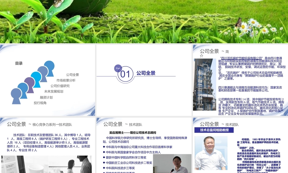 活氏锅炉并购商业计划书