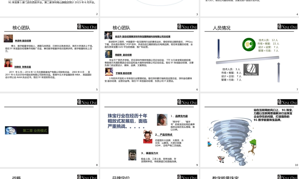 SZ-91珠宝融资计划书15052