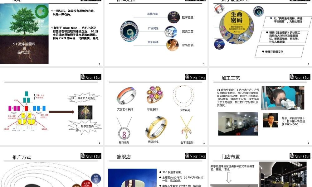 SZ-91珠宝融资计划书15052