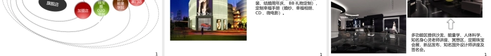 SZ-91珠宝融资计划书15052