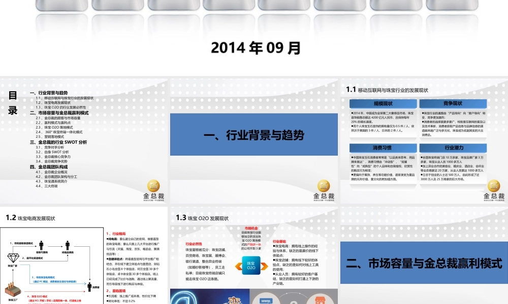 SZ-20140930金总裁.珠宝通“珠宝O2O体系”商业计划书-10月20日