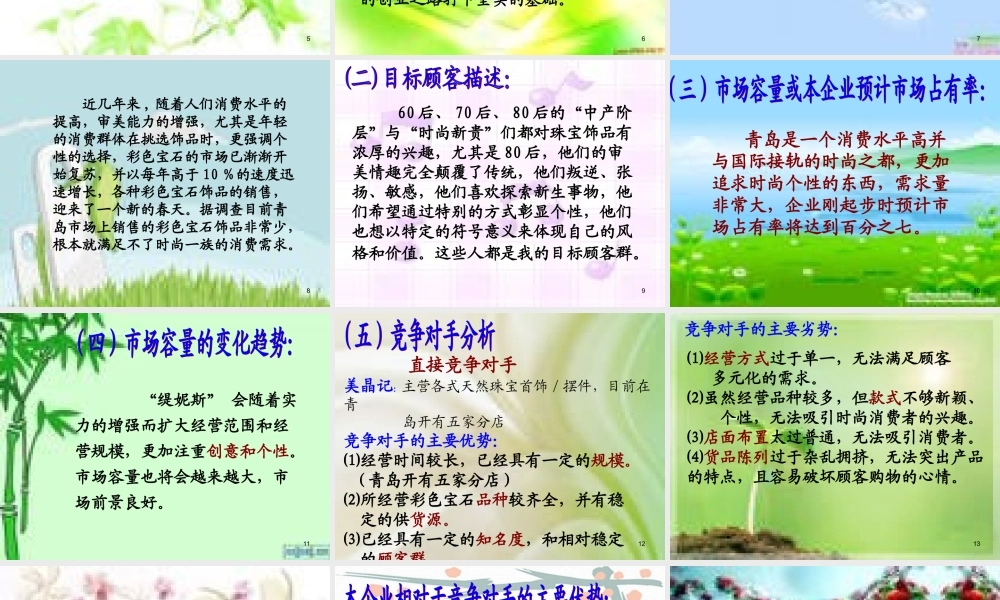 珠宝店创业计划书