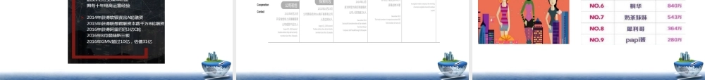 网红项目计划书