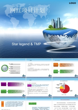 网红项目计划书