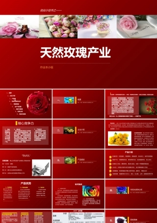 玫瑰产品公司创业计划书ppt