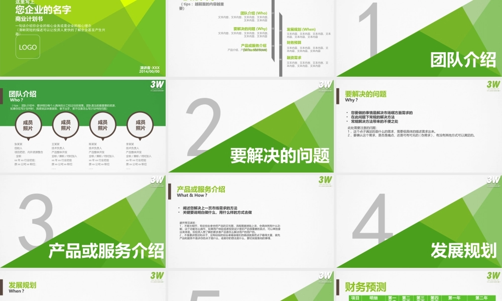 3W孵化器初创企业商业计划书模板