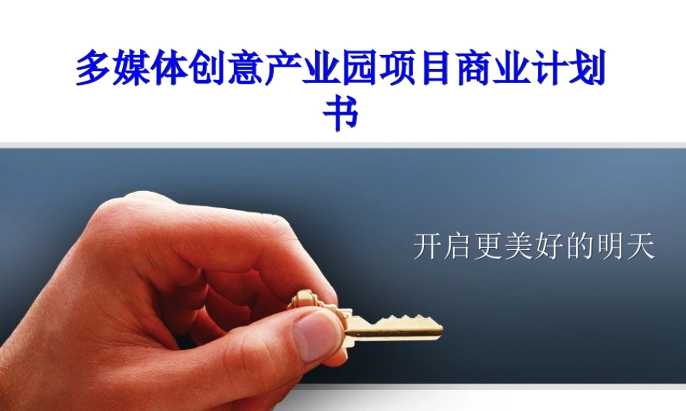 多媒体创意产业园项目商业计划书