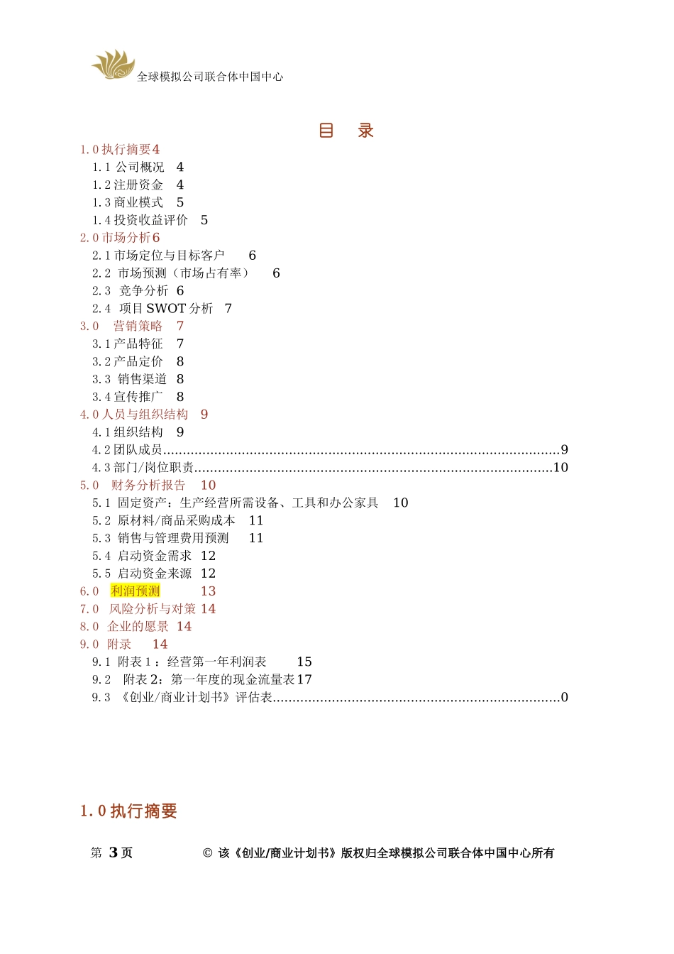 模拟公司创业计划书模板_第3页