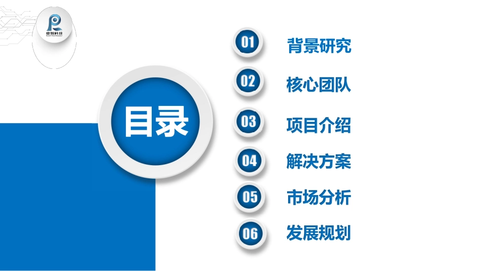 睿智科技商业计划书_第2页