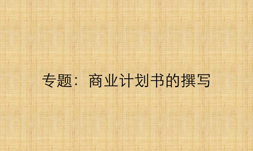 商业计划书的撰写