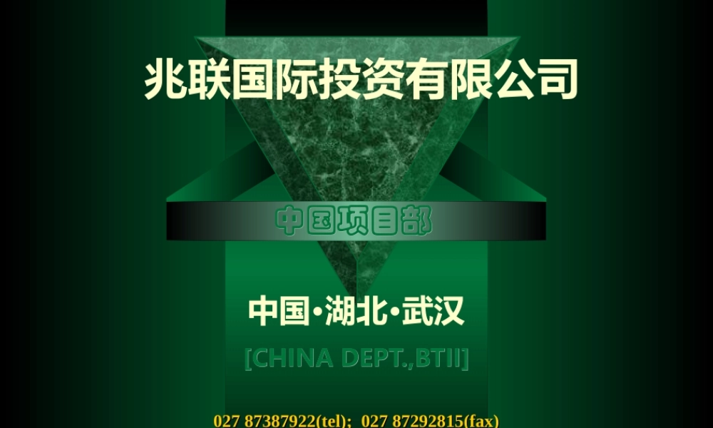 兆联公司与融资项目策划业务介绍