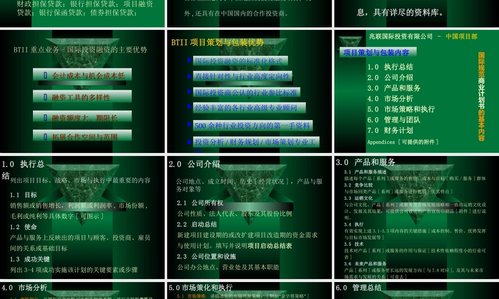 兆联公司与融资项目策划业务介绍