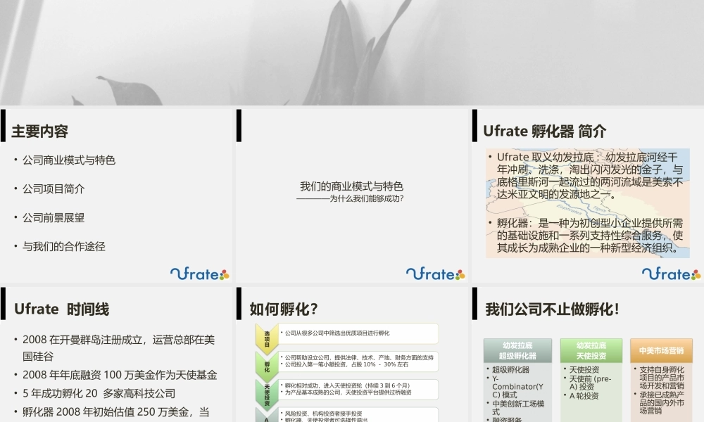 ruofan's-孵化器项目商业计划书