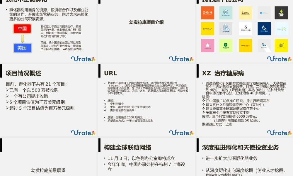 ruofan's-孵化器项目商业计划书