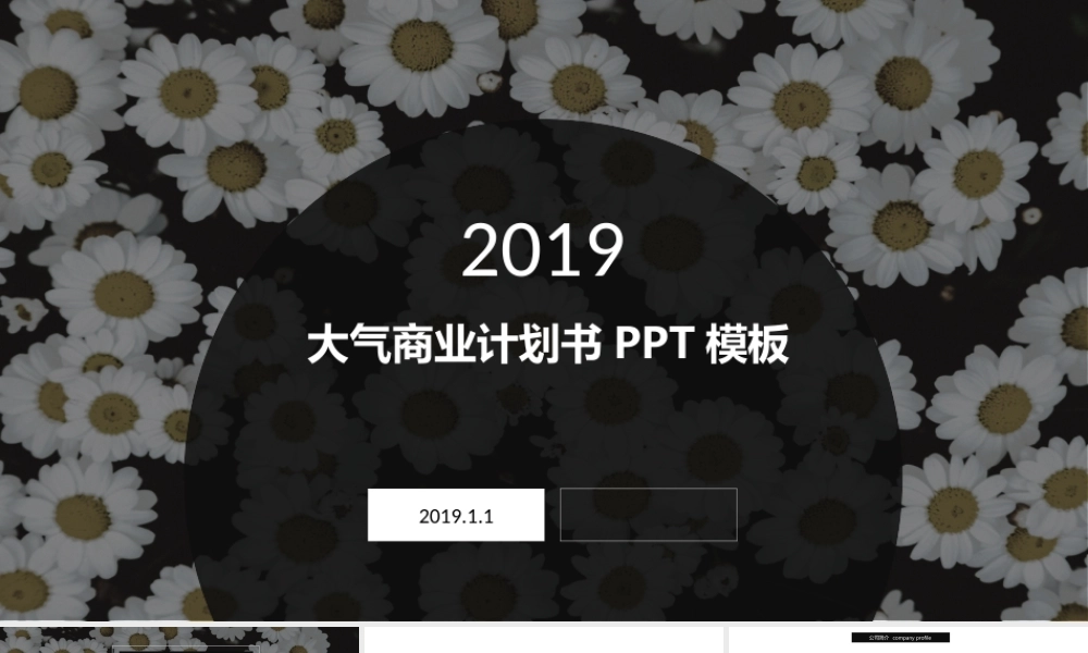 大气商业计划书产品展示公司介绍通用PPT模板