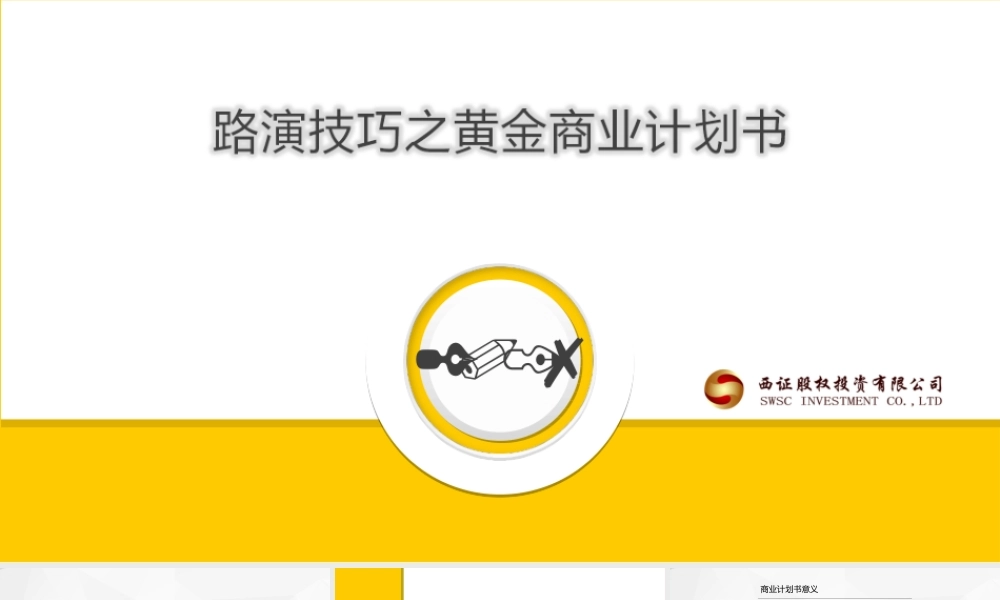 路演技巧-黄金商业计划书
