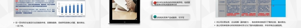 路演技巧-黄金商业计划书