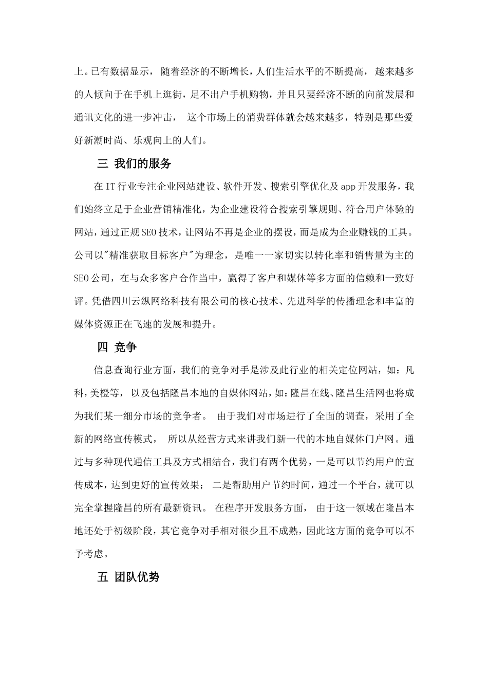 四川云纵网络公司企业策划书_第2页
