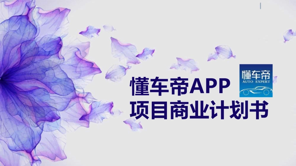《懂车帝》APP项目-打造汽车生活生态圈 一站式汽车撮合交易平台商业计划书【最终版】_第1页