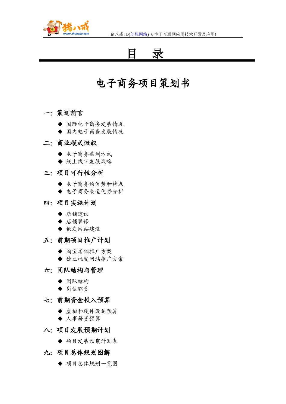 电子商务策划案_第1页