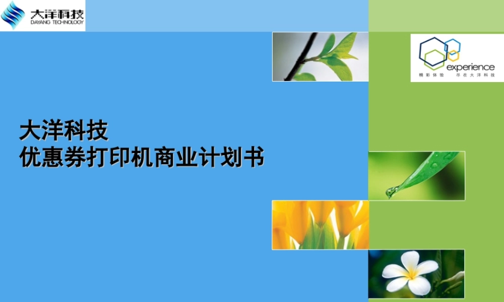 大洋科技优惠券打印机商业计划书