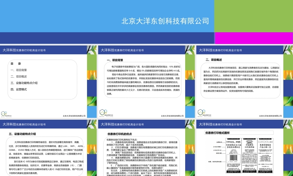 大洋科技优惠券打印机商业计划书